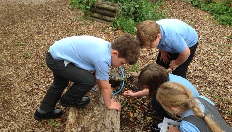 Y2 investigate microhabitats Y2 investigate microhabitats