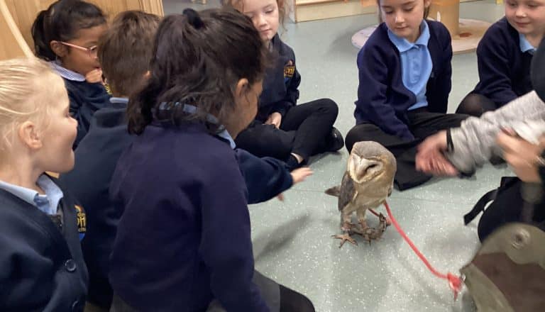 Our Special Visitor Kyra the Owl