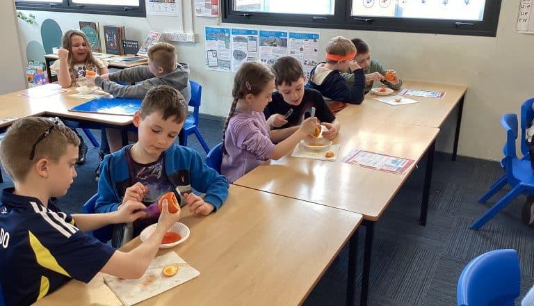 Mummifying Oranges!