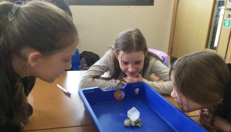 Year 4 Science Day