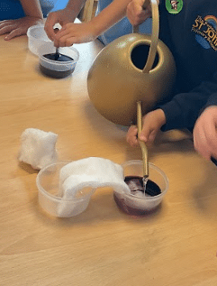A Super Start: Our First Two Weeks as Curious Scientists!