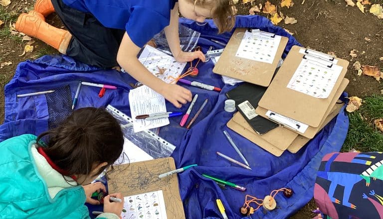 Forest School – Year 2 – Session 3