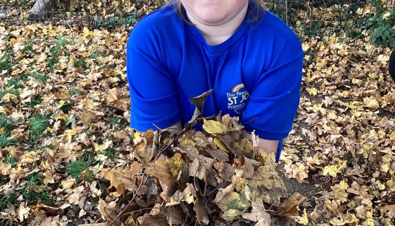 Sensory Fun