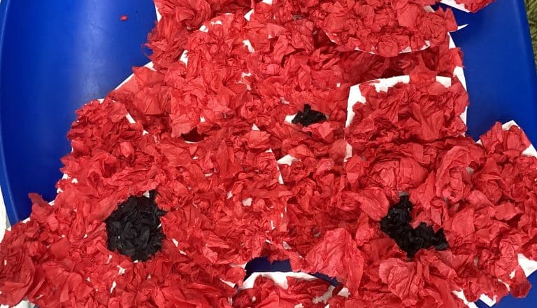 Y2 Remembrance Day poppies