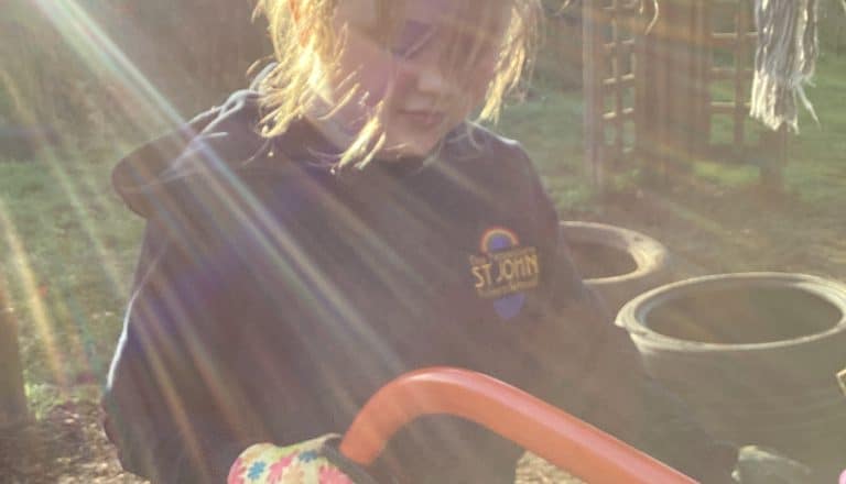 Star Forest School