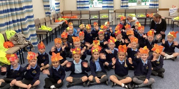 Year 1: Amber & Coral